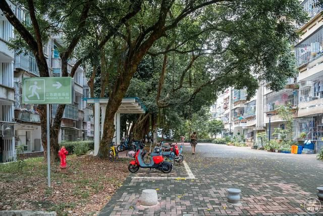深圳华侨城在哪(深圳华侨城在哪里)