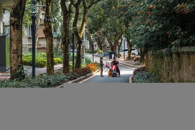 深圳华侨城在哪(深圳华侨城在哪里)