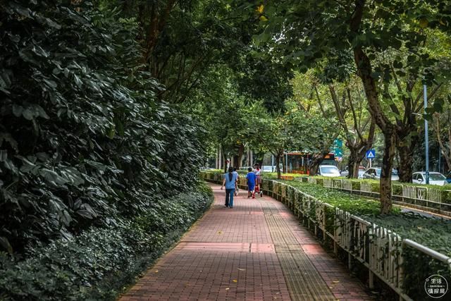 深圳华侨城在哪(深圳华侨城在哪里)