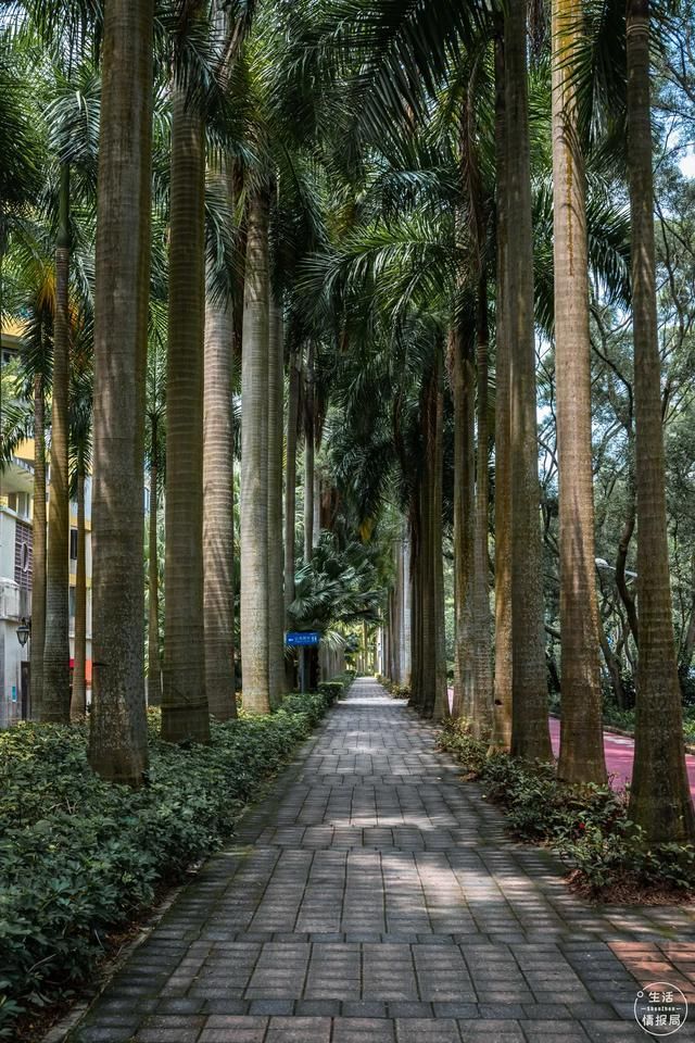 深圳华侨城在哪(深圳华侨城在哪里)