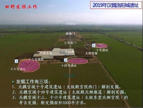 南郭在哪(南国在哪)
