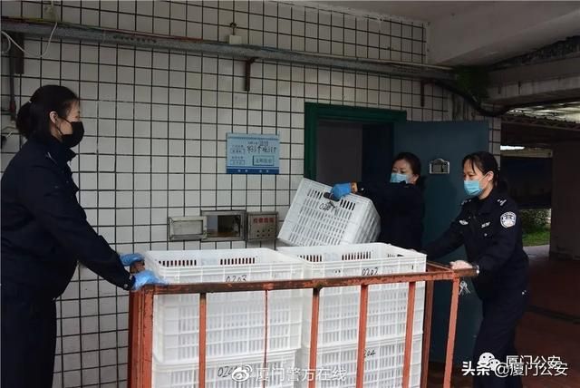 厦门第一看守所在哪里(厦门第一看守所地址)