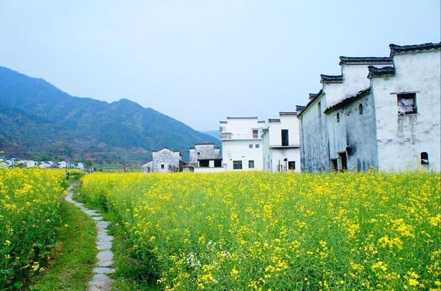 婺源最美乡村在哪里(中国最美乡村江西婺源图片)