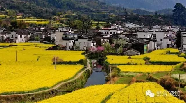 婺源最美乡村在哪里(中国最美乡村江西婺源图片)