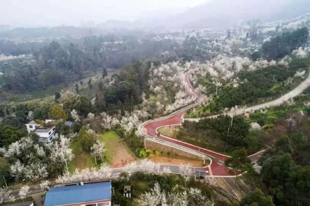 关于蒲江城区在哪的信息
