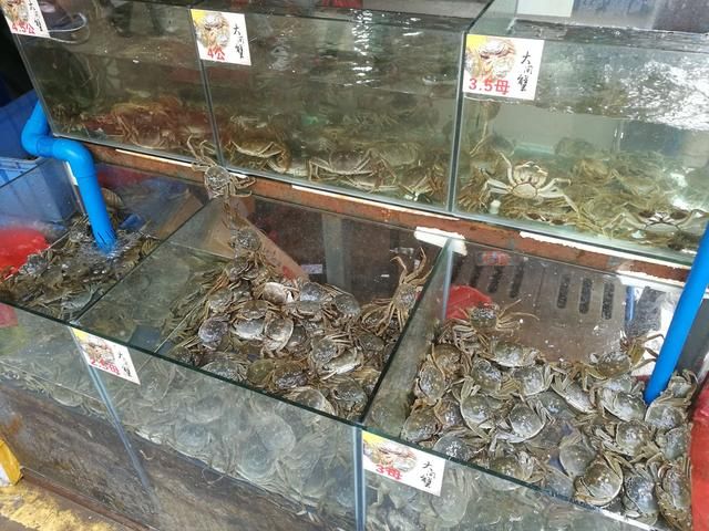 昆明海鲜批发市场在哪里(昆明关上海鲜批发市场)