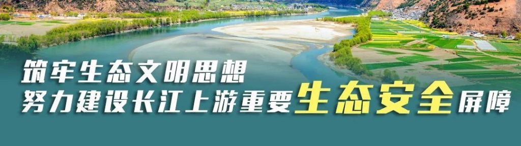 牛肝菌产在哪(牛肝菌长虫标准)