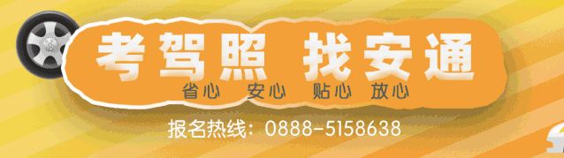 牛肝菌产在哪(牛肝菌长虫标准)