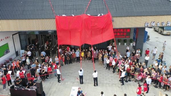 吴江宠物市场在哪里(吴江二手电器市场在哪里)