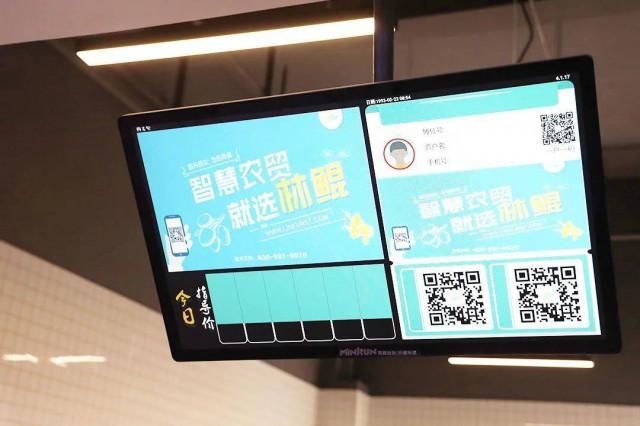 吴江宠物市场在哪里(吴江二手电器市场在哪里)