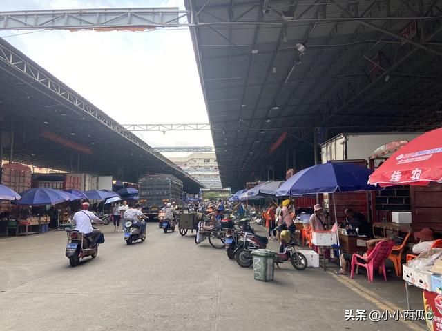 海口水果批发市场在哪里(海口南北水果批发市场在哪里)