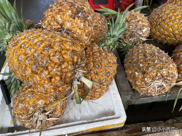 海口水果批发市场在哪里(海口南北水果批发市场在哪里)