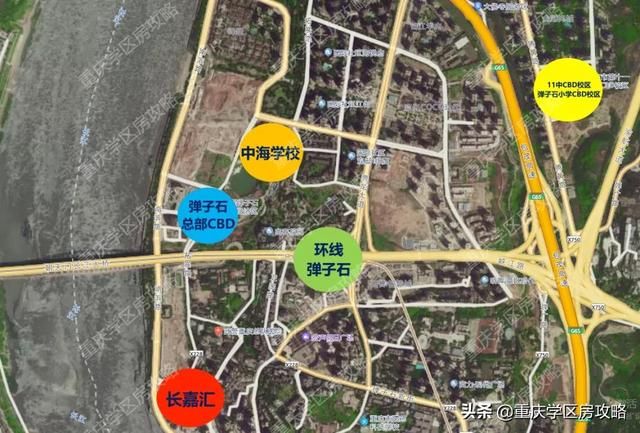 重庆市第十一中学(重庆市第十一中学校地址)