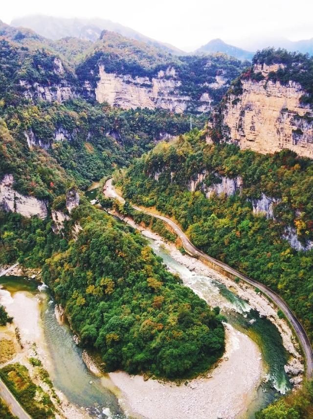 红地毯在哪(红地毯电影)