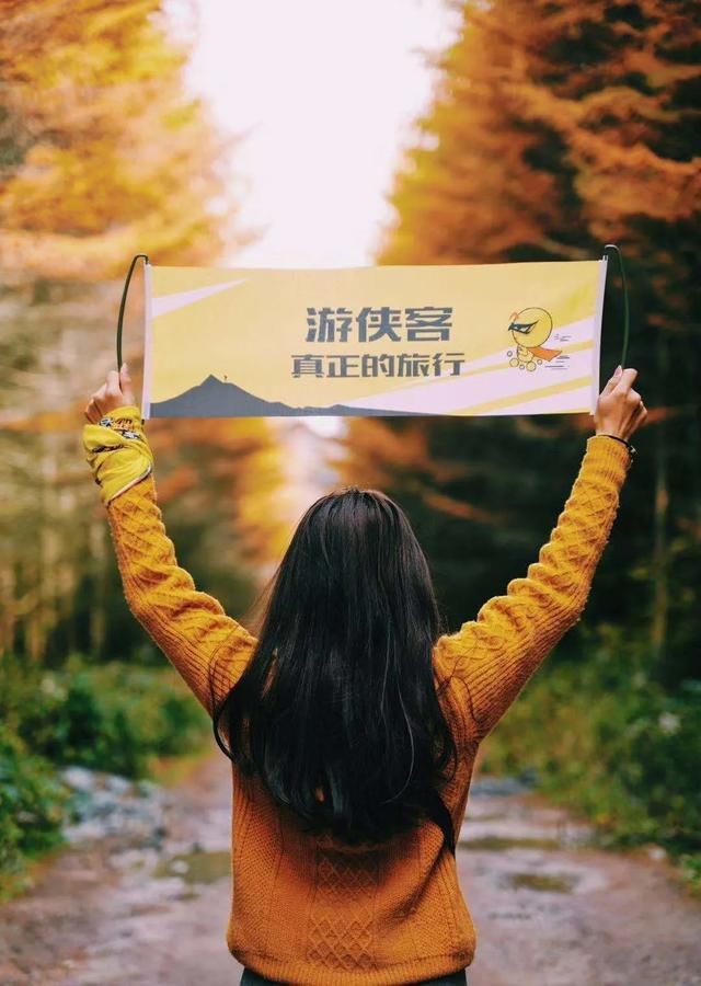 红地毯在哪(红地毯电影)