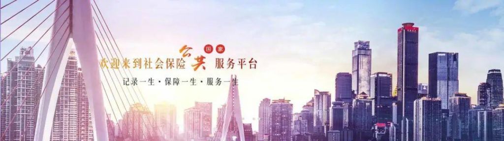 社会保险查询网站(中国社会保险网站查询)