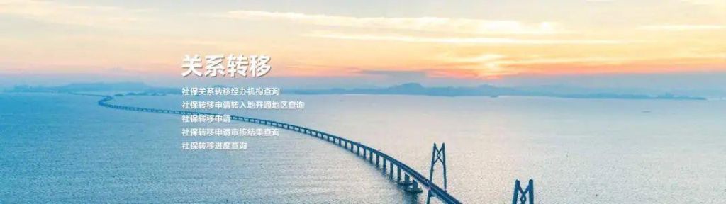 社会保险查询网站(中国社会保险网站查询)