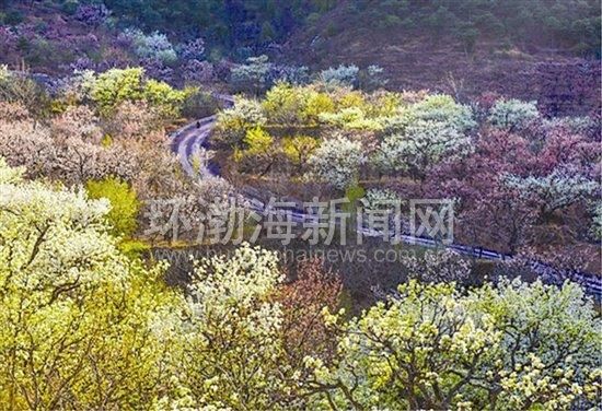 常乐谷在哪(长乐古镇)