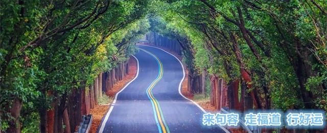 句容新城雅居在哪里(句容新城雅居)