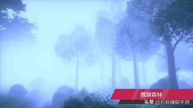 甜竹竹在哪抓的简单介绍
