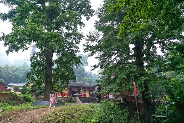 岭南第一关在哪(岭南第翼管在哪)