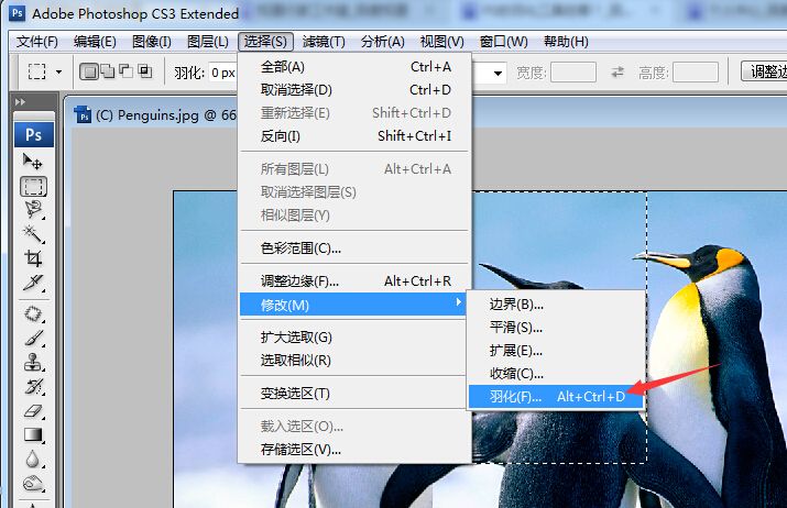 ps的羽化在哪里(ps的羽化工具在哪里)