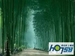 怀阳在哪里(淮阳在哪里)