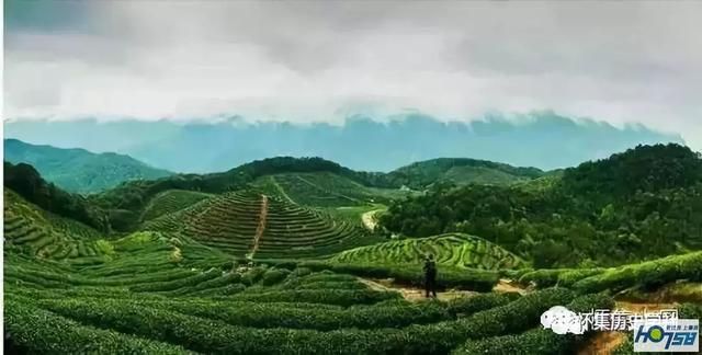 怀阳在哪里(淮阳在哪里)