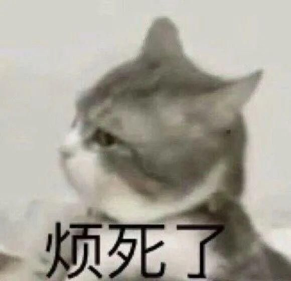 染一缕头发染在哪好看(染一缕头发染在哪好看男生)