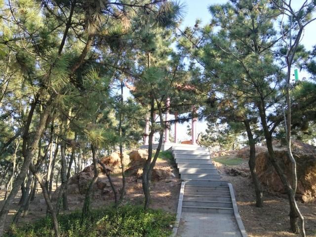 坊子街在哪(坊子街新禧苑)