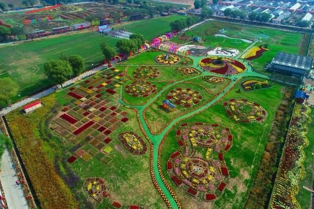 太原的花卉市场在哪(太原鑫龙腾花卉市场)