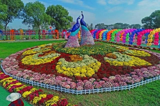 太原的花卉市场在哪(太原鑫龙腾花卉市场)