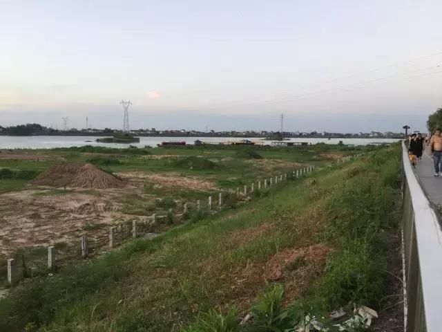 抚州三江湿地公园在哪(抚州三江湿地公园在哪里)