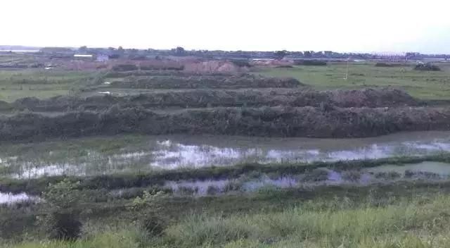 抚州三江湿地公园在哪(抚州三江湿地公园在哪里)