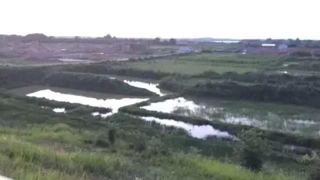 抚州三江湿地公园在哪(抚州三江湿地公园在哪里)
