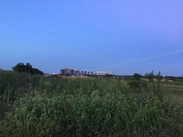 抚州三江湿地公园在哪(抚州三江湿地公园在哪里)