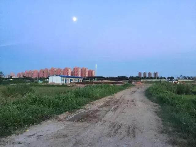 抚州三江湿地公园在哪(抚州三江湿地公园在哪里)