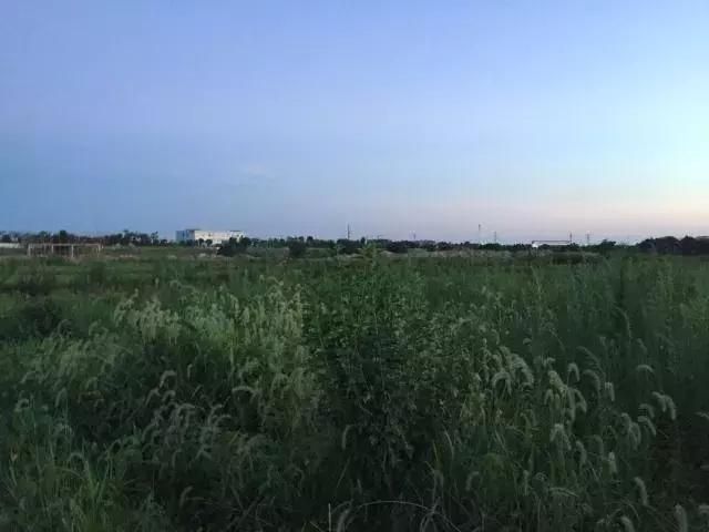 抚州三江湿地公园在哪(抚州三江湿地公园在哪里)