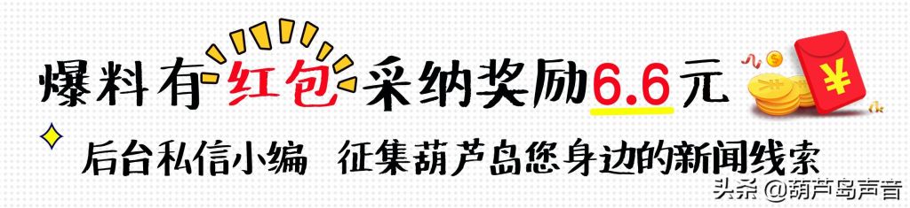 兴城市办理身份证在哪(辽宁省兴城市身份证开头)