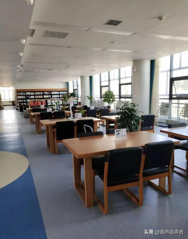 兴城市办理身份证在哪(辽宁省兴城市身份证开头)