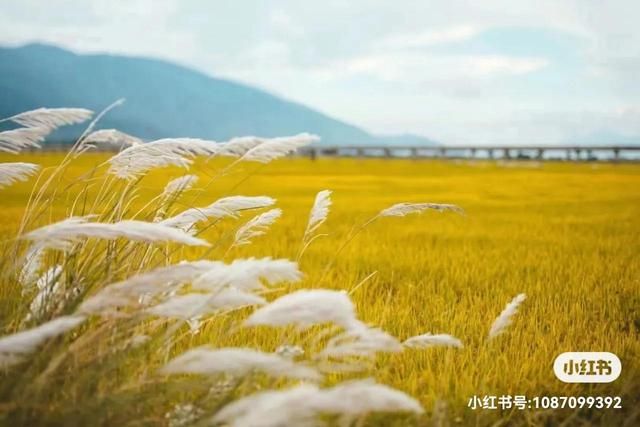 洱海起点在哪(环洱海起点)