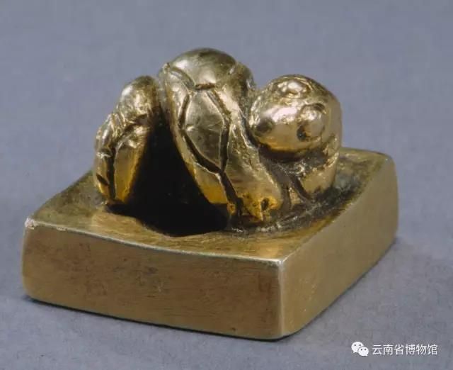 夜郎古城在哪里(夜郎古城)