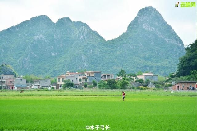 阳春市在哪(阳春市在哪个省)