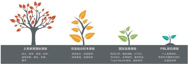 十堰市十二中在哪儿(十堰市十二中)