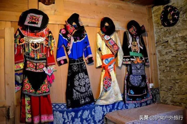 杀生是在哪里拍的(杀生电影是在哪里拍的)