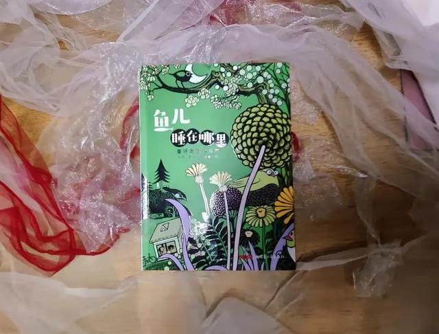 小鱼睡在哪里的简单介绍