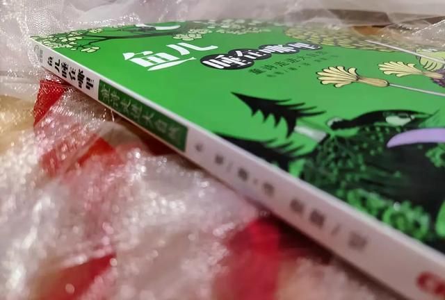 小鱼睡在哪里的简单介绍