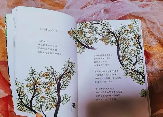 小鱼睡在哪里的简单介绍