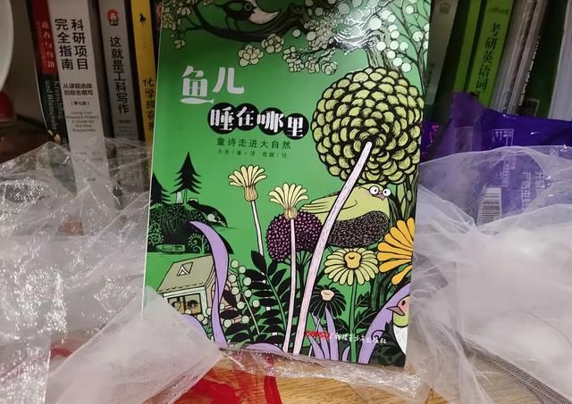 小鱼睡在哪里的简单介绍