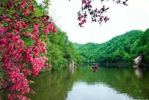 汝阳在哪里(三国汝阳在哪里)